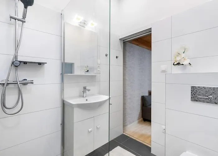 Apartament Swarz's Downtown